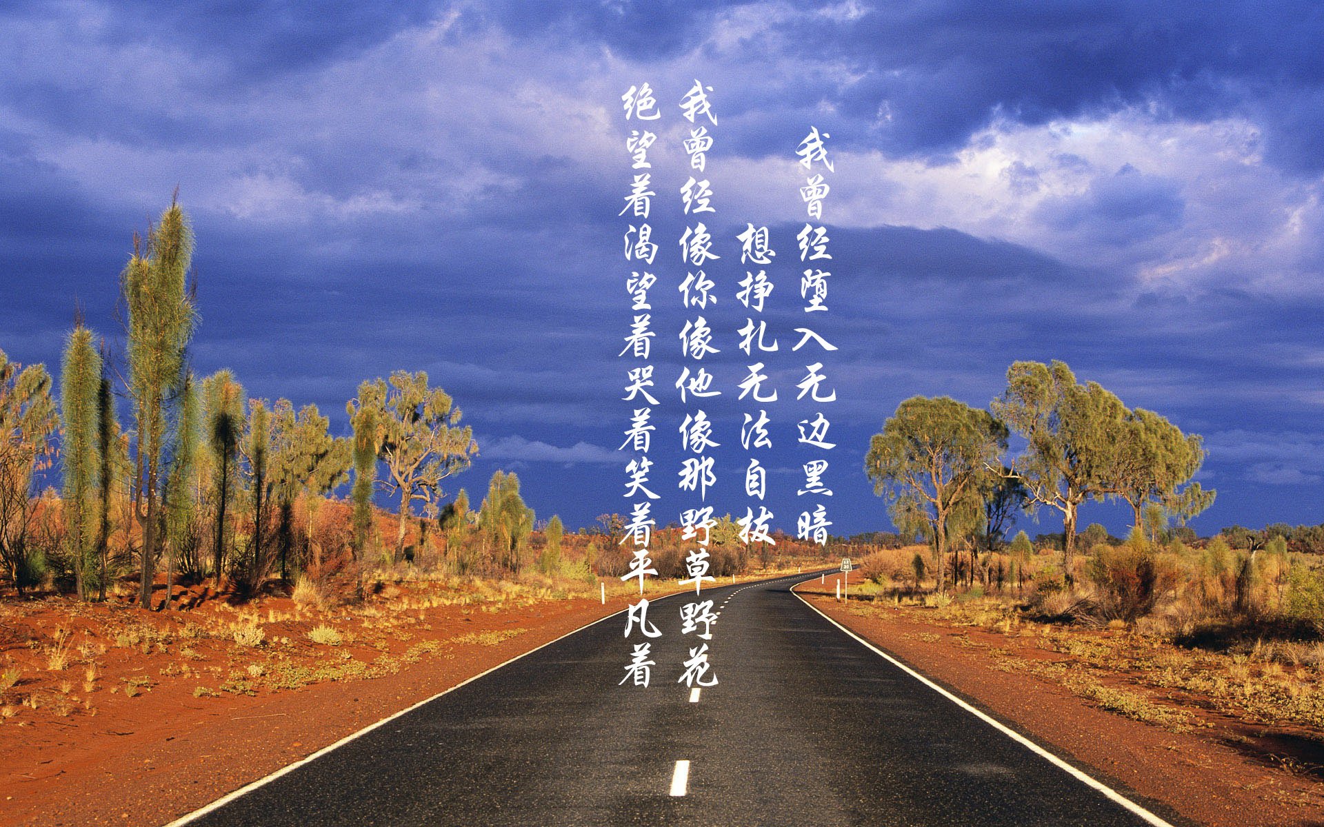 追梦之旅：少年的欧冠梦与传奇成长史，欧洲冠军杯50年梦之队
