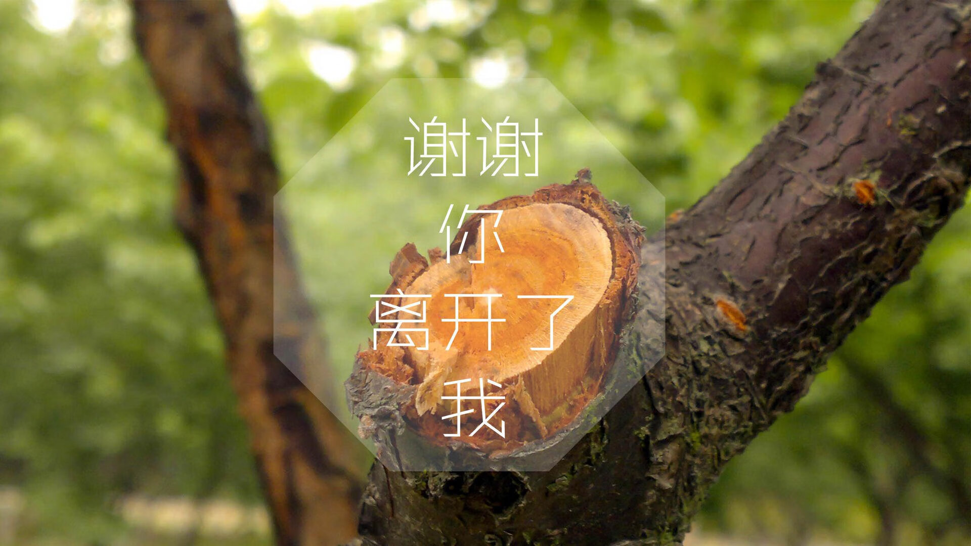 伊朗门将扑球滑进雪堆消失3秒，观众惊呼“魔术门将”