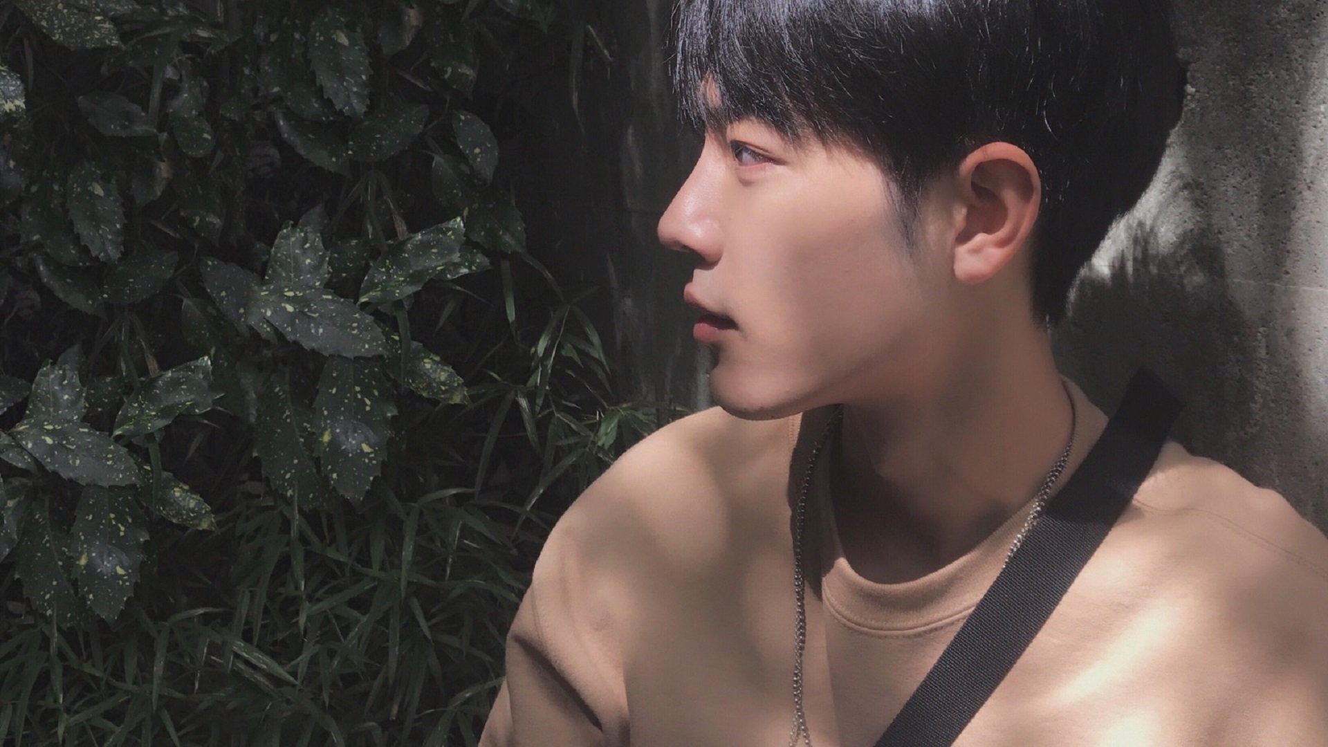 伊朗马术队在2024年巴黎奥运会上获得团体障碍赛银牌，时隔三年再获奖牌。