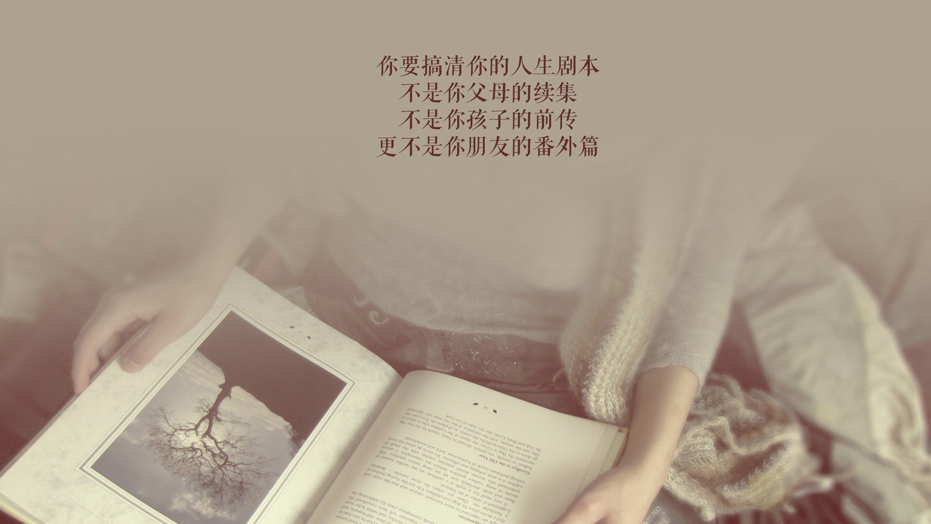 千叶喷射机战术调整成效显著，日本千叶喷气机篮球队