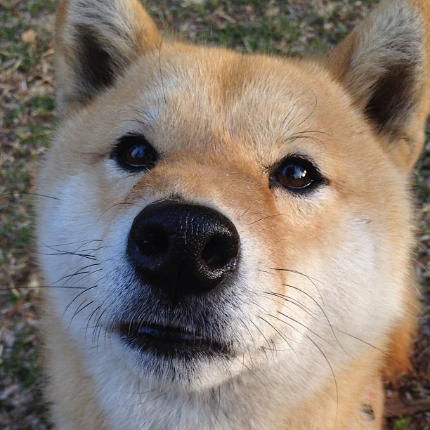 “天府新区沙滩赛场：沙滩合球突破传统，精彩纷呈”