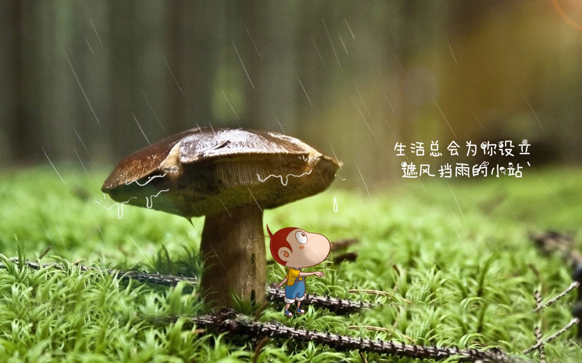 中立B选手该项目整体表现坚实