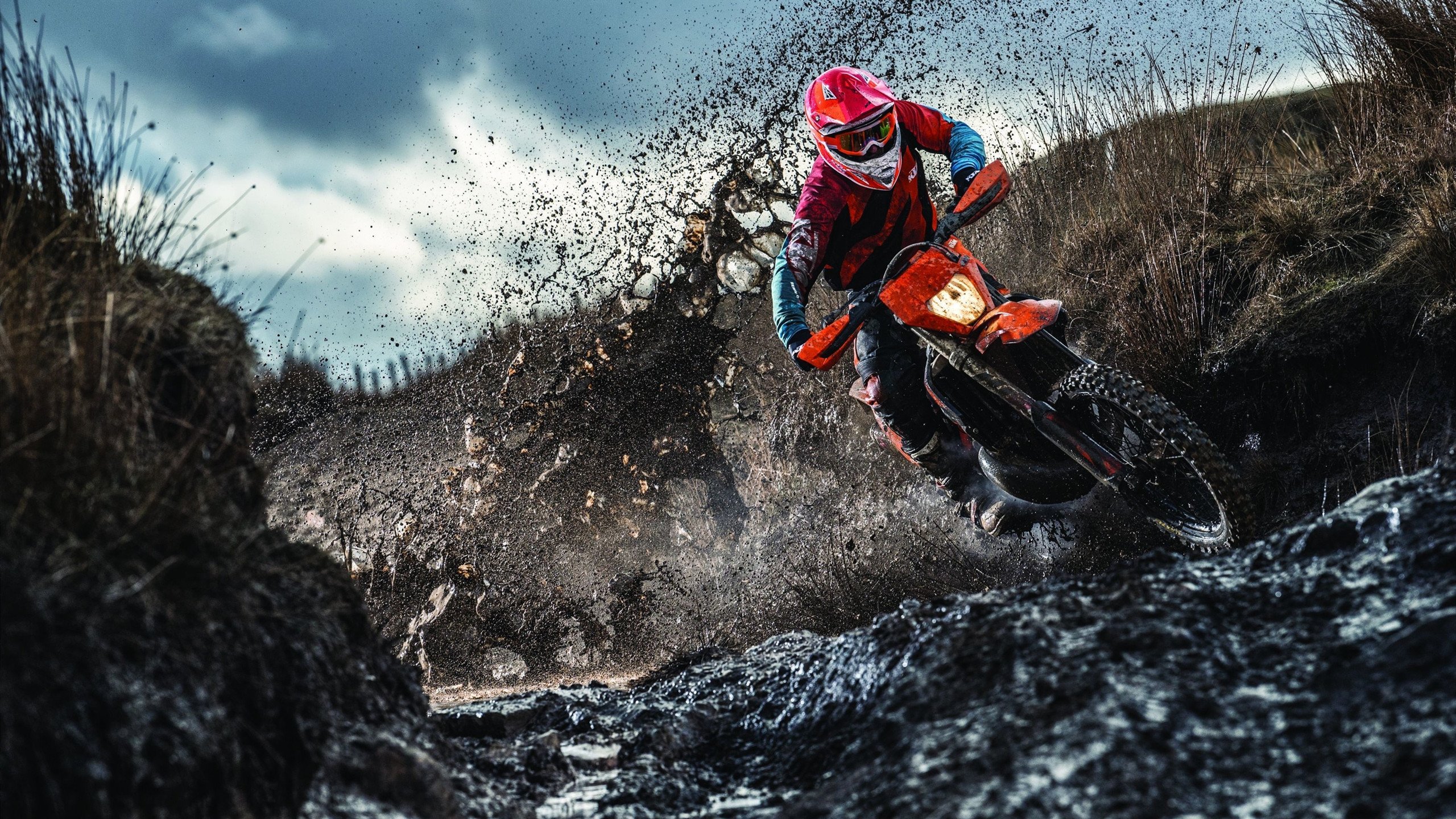 接力赛澳洲团队配合默契，接力决赛视频