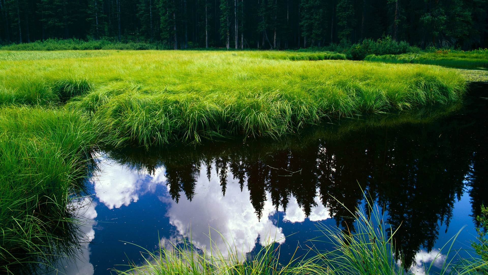 特色足球主题的场馆设计成为城市景观的重要组成部分,创意足球场馆