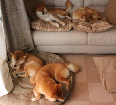 九游下载官网-英国男子4×200米自由泳接力赛场表现出色，男子4×200米自由泳接力世界纪录